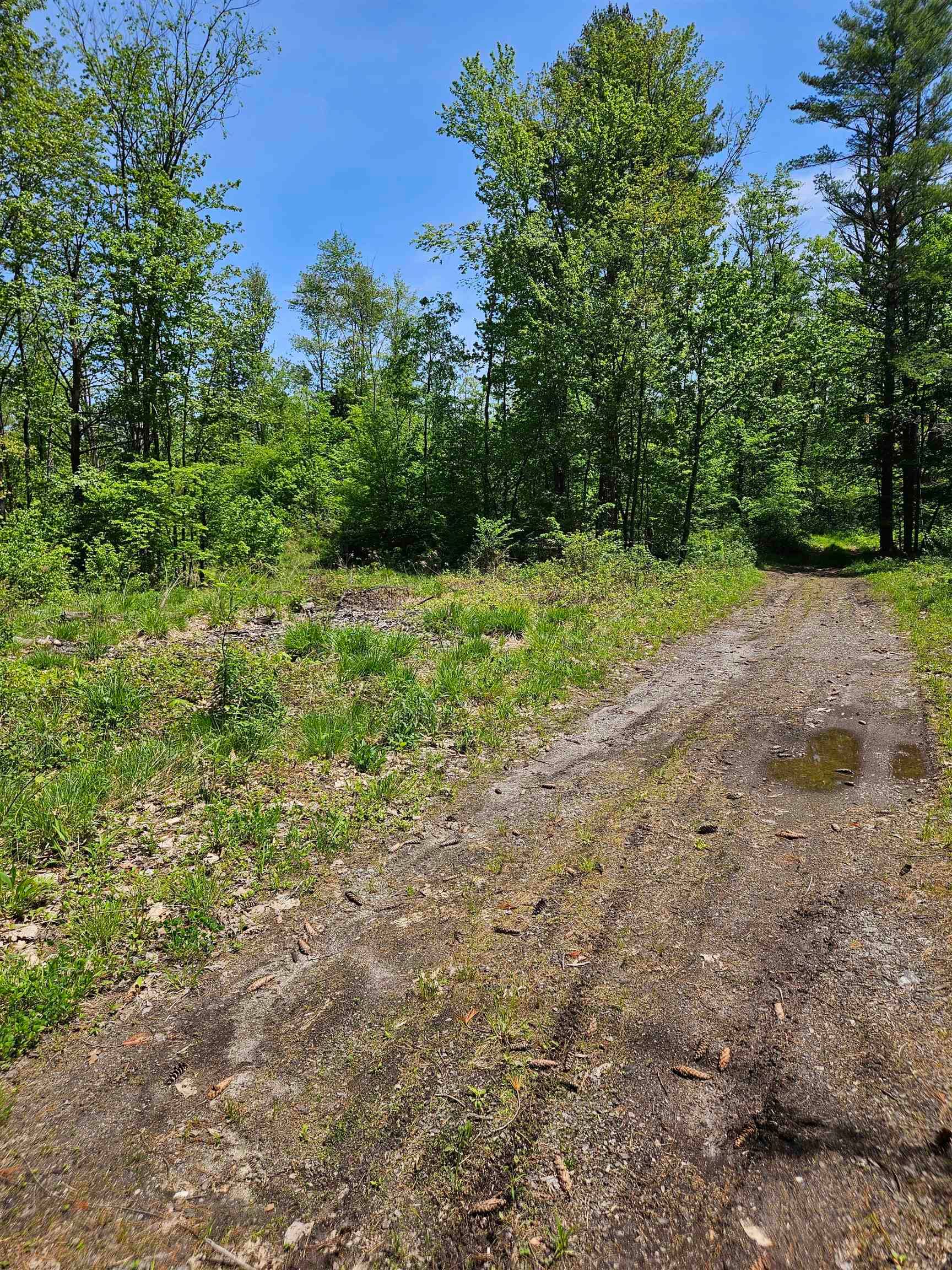 110.58 Acres, 00 River Road, Weare, NH 03281 Land and Farm