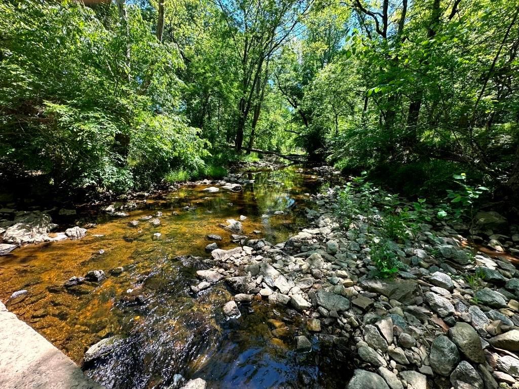 256 acres in Lancaster, SC, 29720 MLS B677 MC 8975 Lynches River