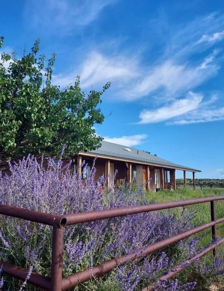 3275 Vicente Del Curto Rd, Mountainair, NM 87036 Land and Farm