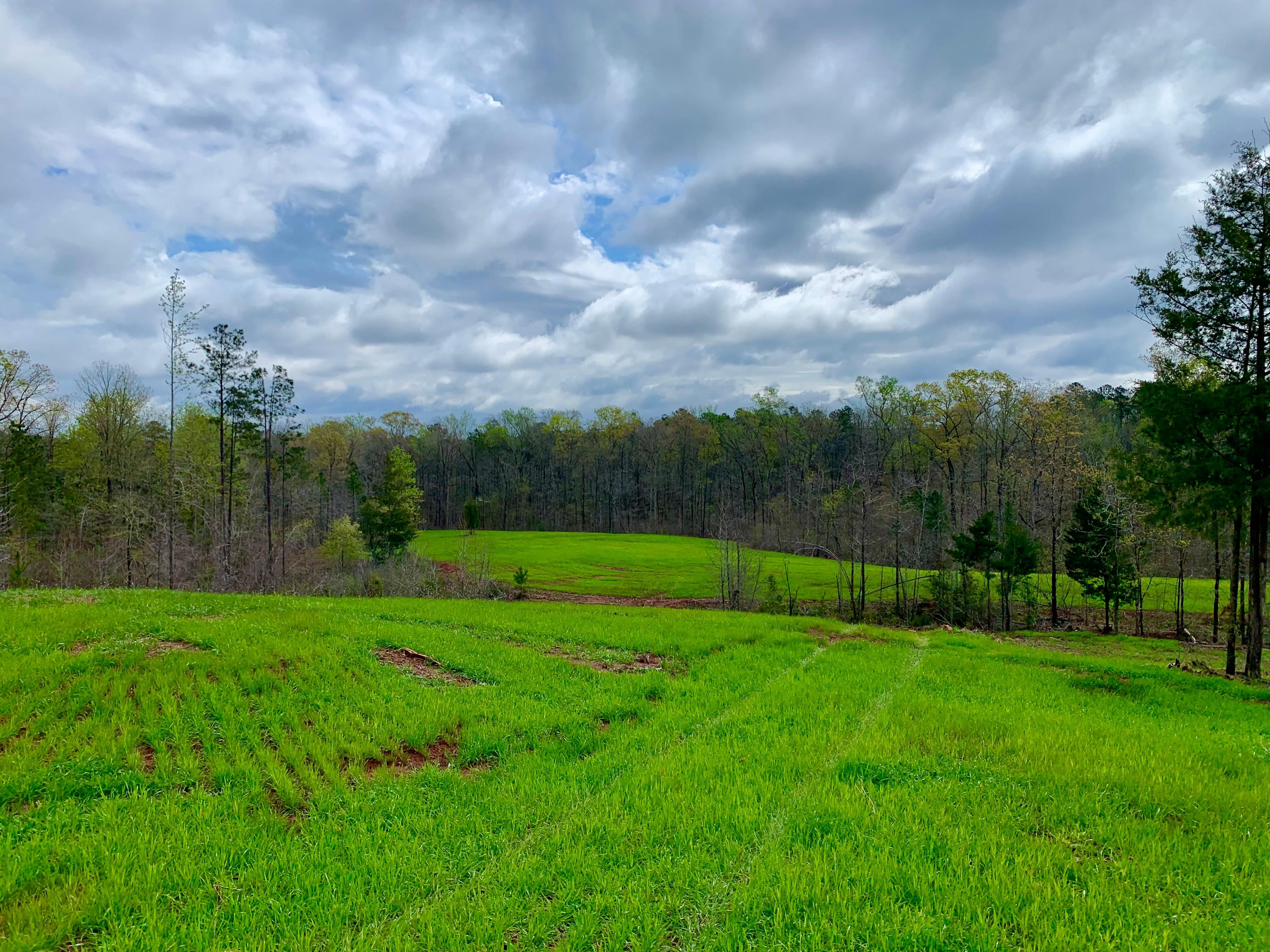 12.21 Acres, Abercrombie Road, Culloden, GA 31016 Land and Farm