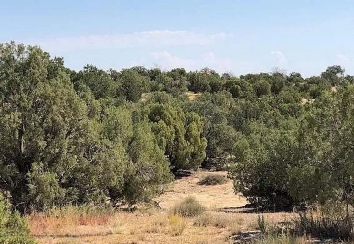 Pinon Frontage Rd, Farmington, NM 87401 Land and Farm