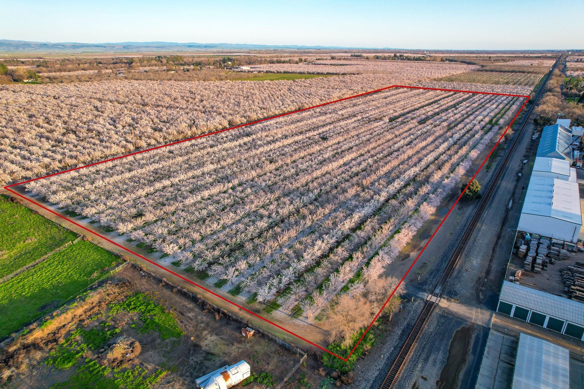 9298 Midway, Durham, CA 95938 Land and Farm