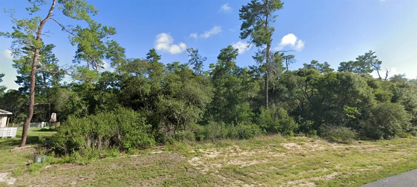 0000 SW 165TH LOOP, Ocala, FL 34473 MLS OM679201 Land and Farm