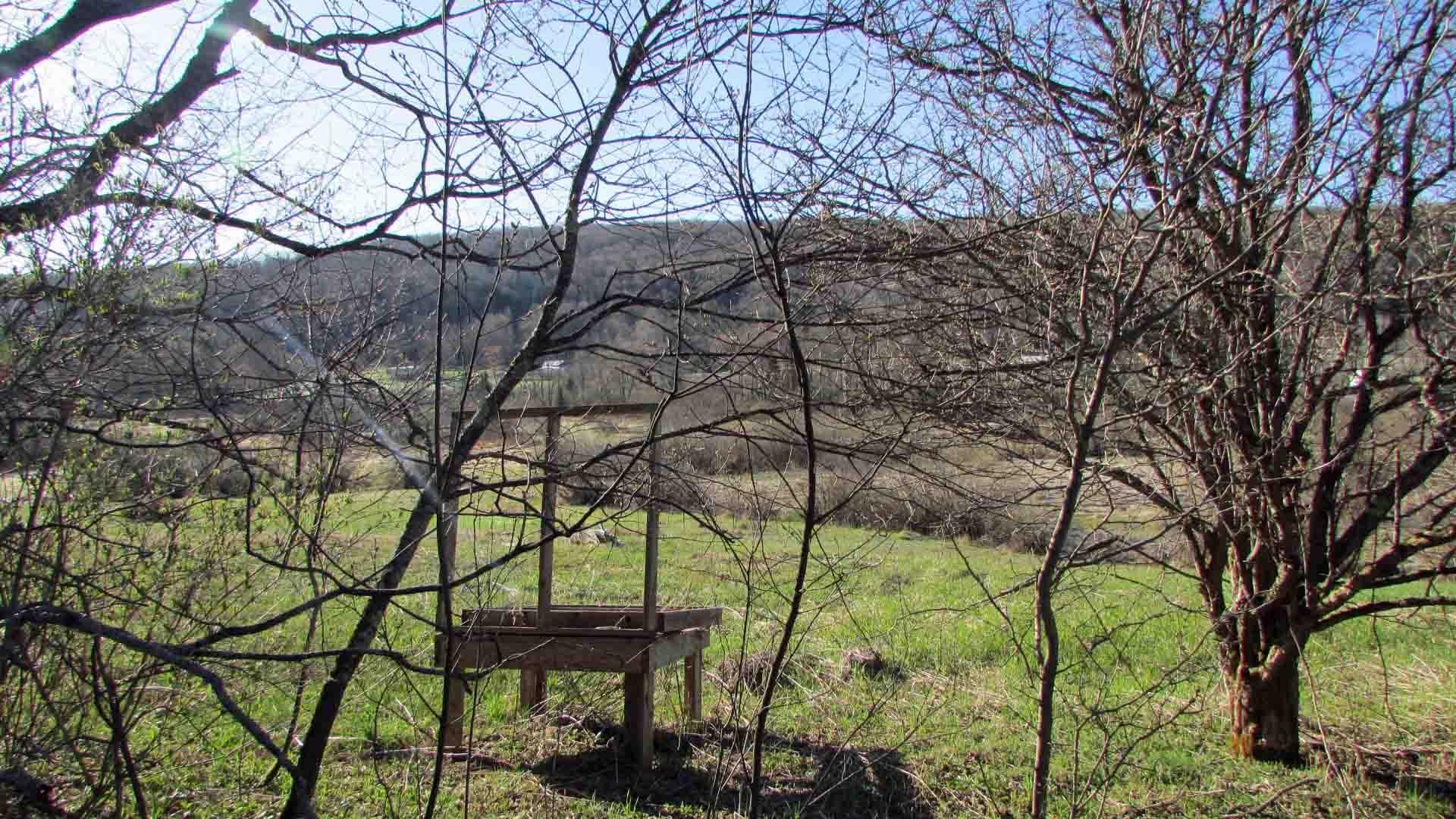 142 Sam Lape Road, Summit, NY 12175 MLS 111.211.111 Land and Farm