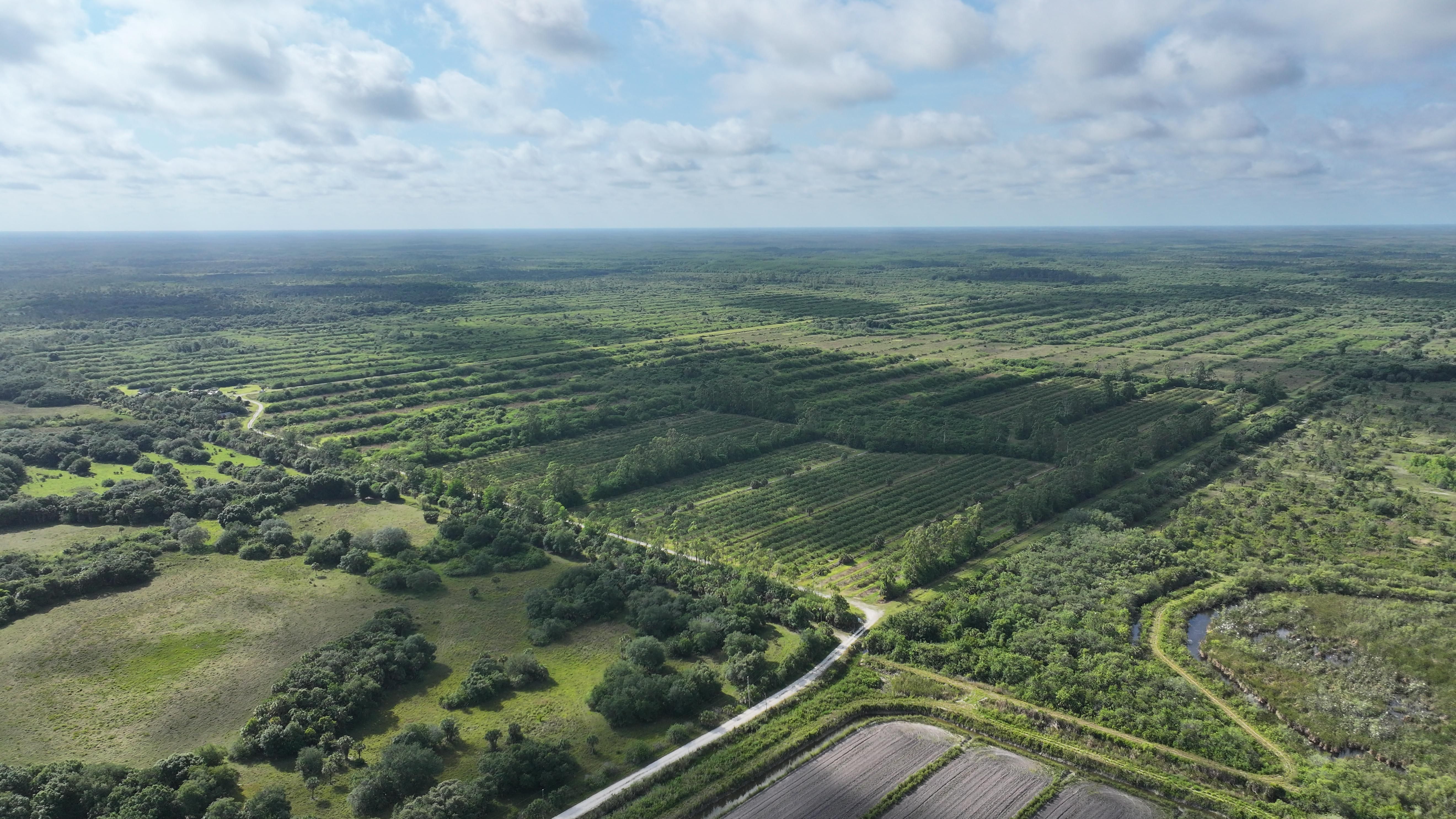 1,280 acres in Immokalee, FL, 34142 Land and Farm