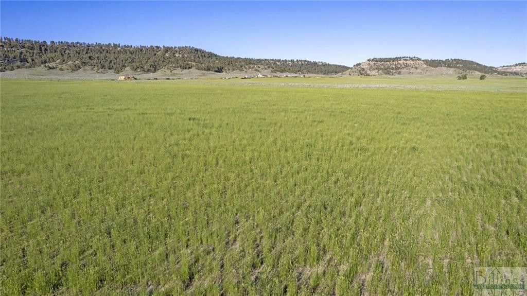 9602 Alexander ROAD, Shepherd, MT 59079 MLS 346258 Land and Farm