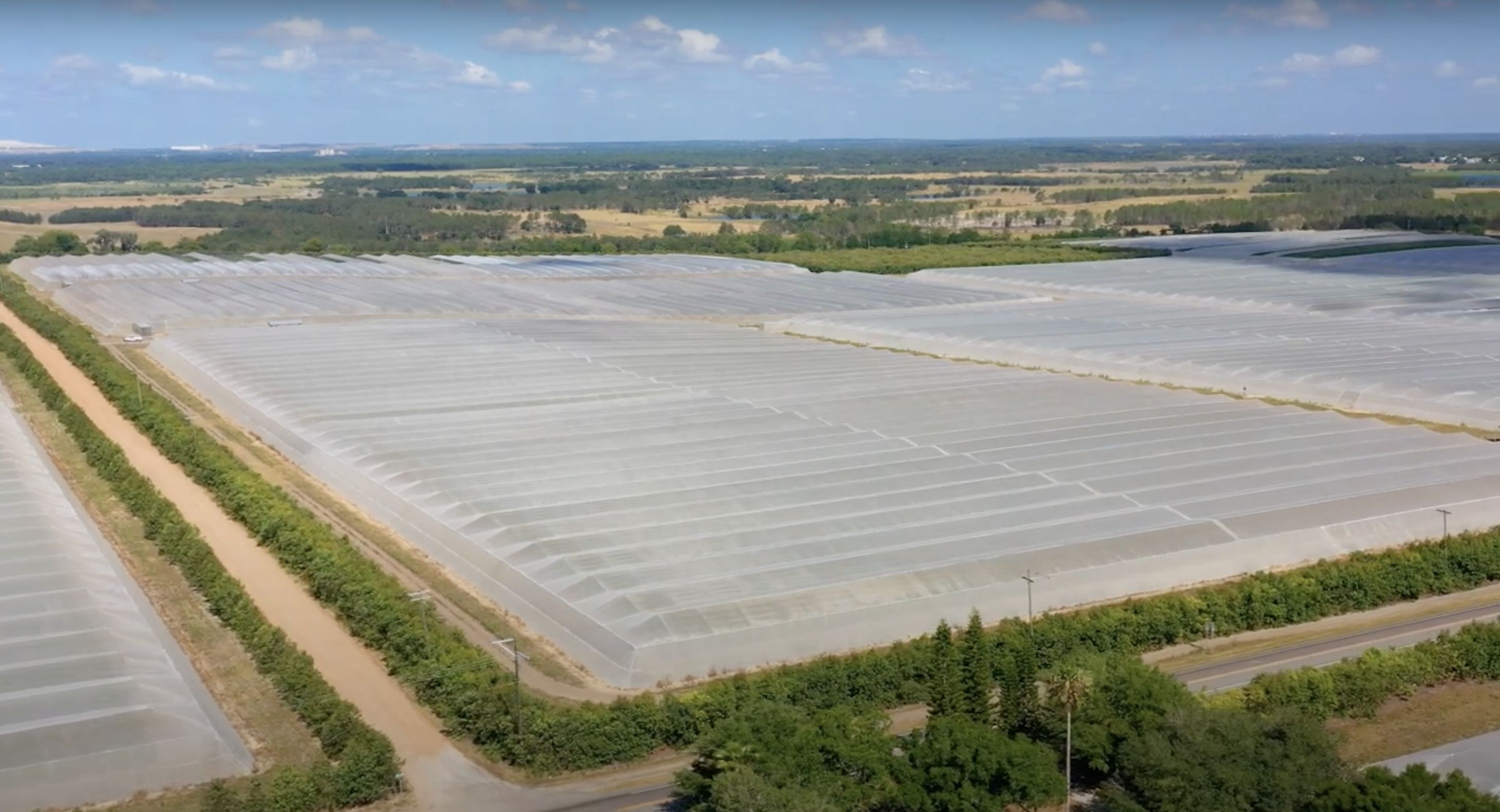 Cox Rd, Bartow, FL 33830 Land and Farm