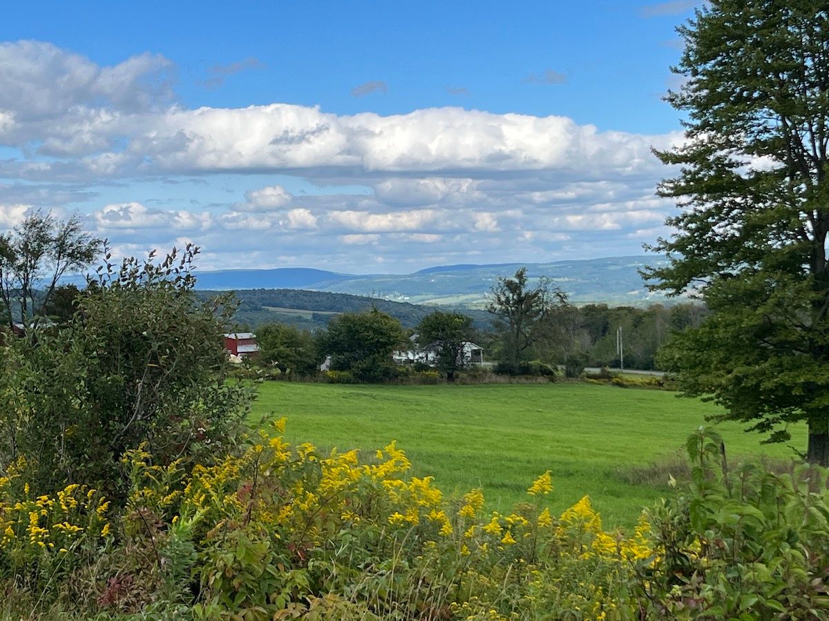 42.08 Acres, WP01 Demunn Road, Beaver Dams, NY 14812 Land and Farm