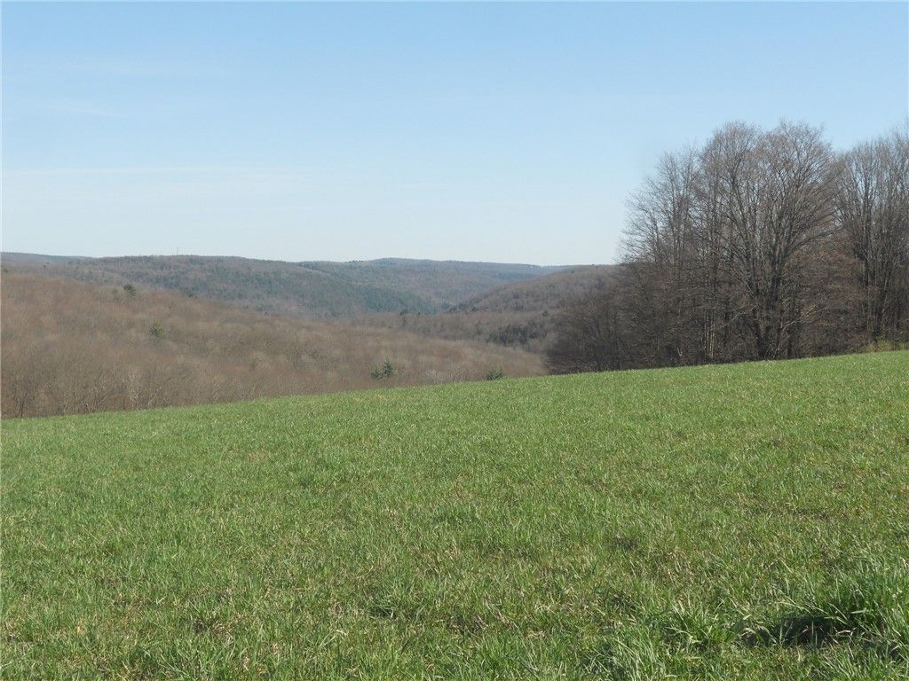00 Cooper Hill Road, Van Etten, NY 14889 MLS R1534553 Land and Farm