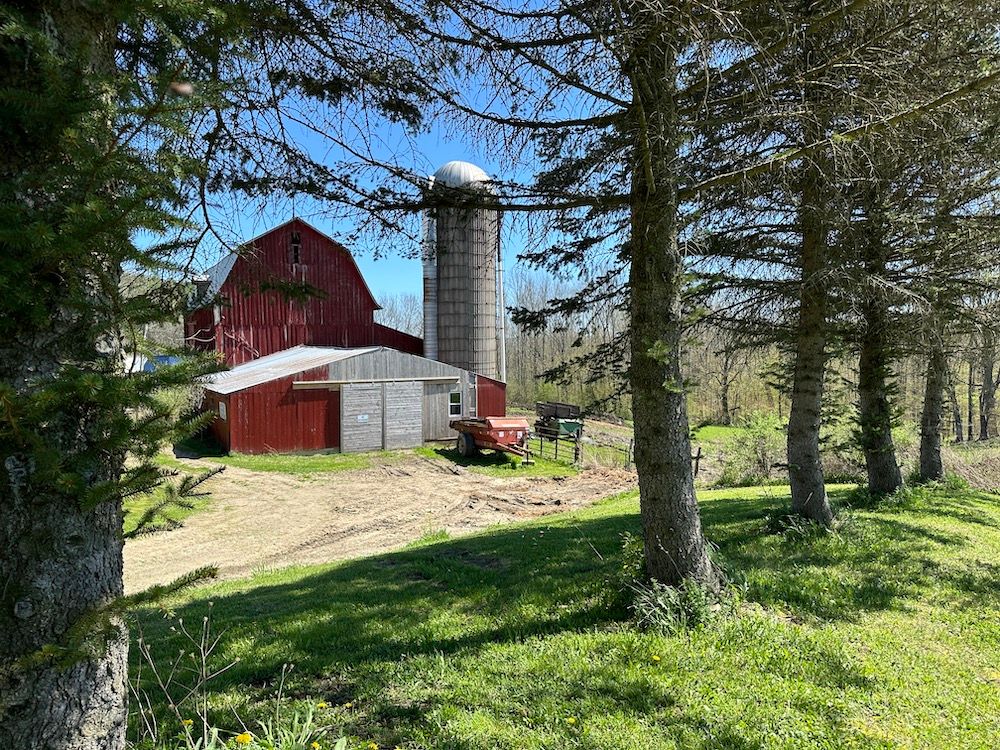 VL Reed Road, LotWP001, Friendship, NY 14739 MLS https//www