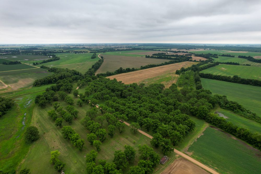 18465 County Road 405, MO 63857 MLS Dunklin 60 Land and Farm