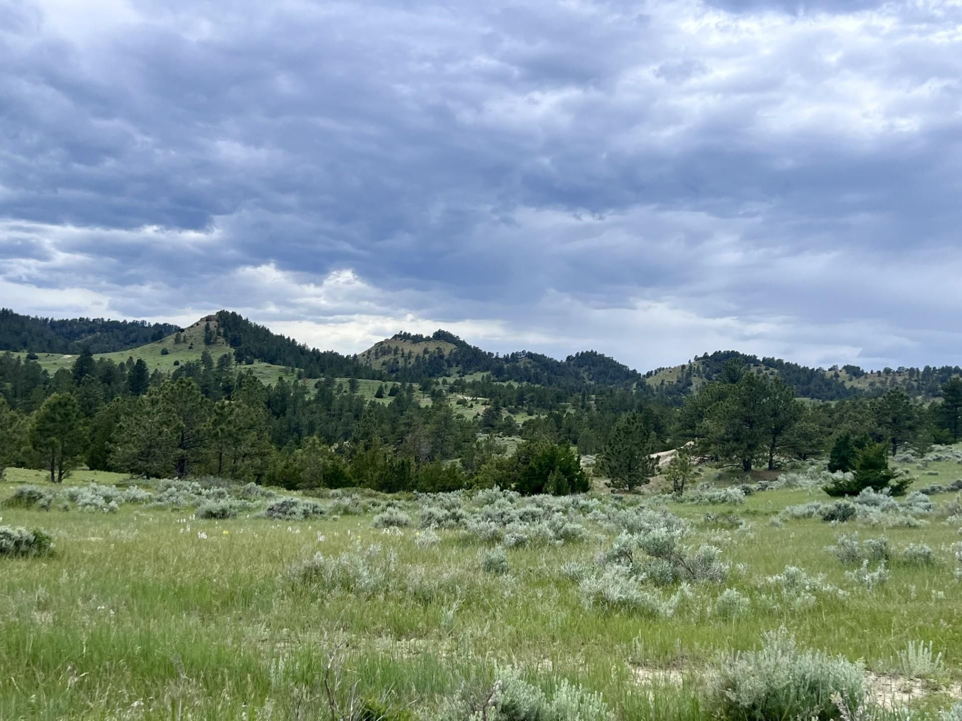 Davis Rd, Miles City, MT 59301 Land and Farm