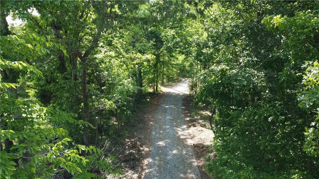 Amelia Springs Rd, Jetersville, VA 23083 MLS 52829 Land and Farm