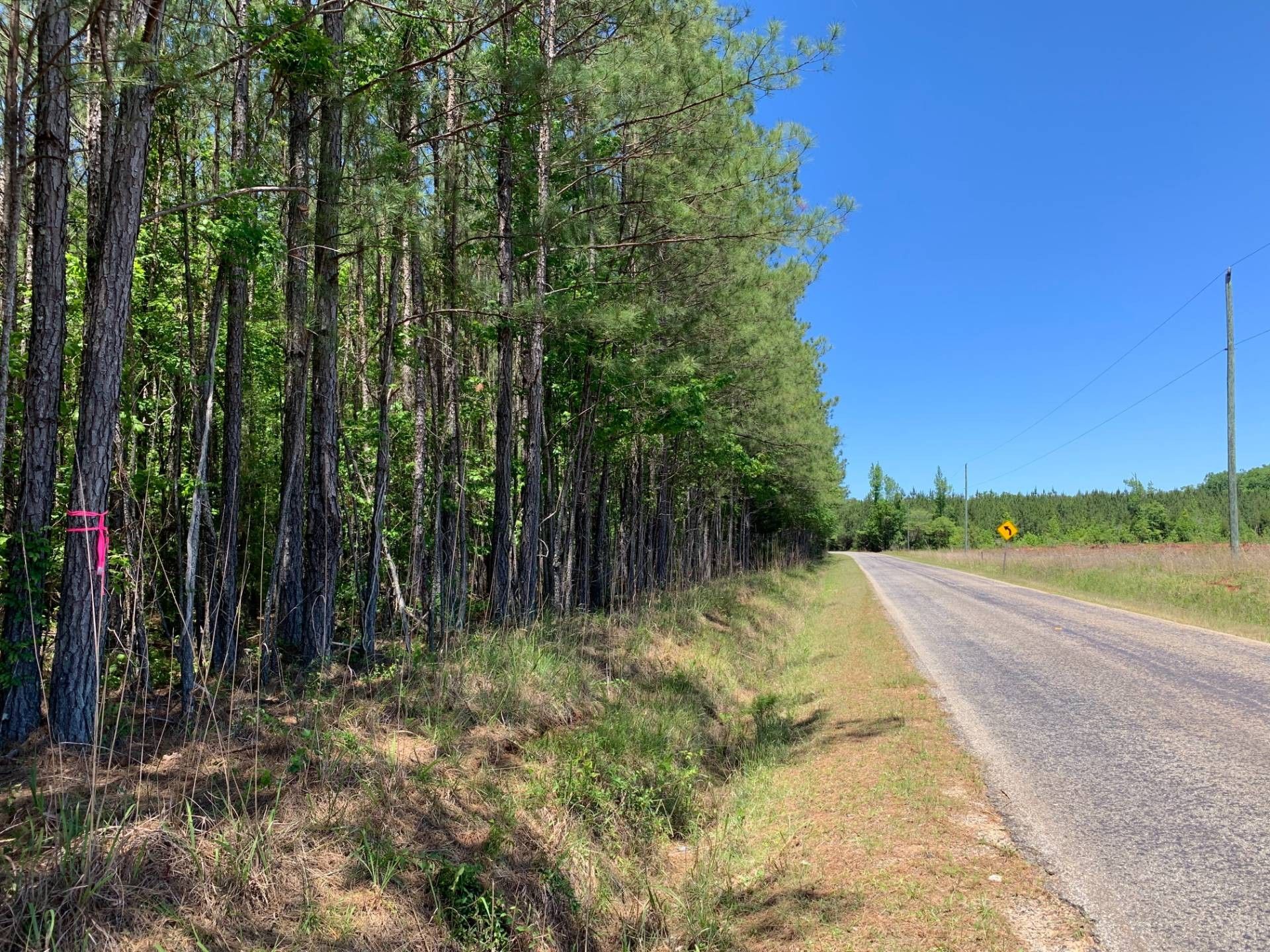 0 Callison Road, Bradley, SC 29646 MLS 11174508 Land and Farm