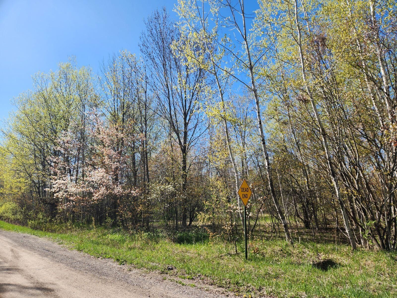 00 Ball Rd RD, Levering, MI 49755 MLS 24356 Land and Farm