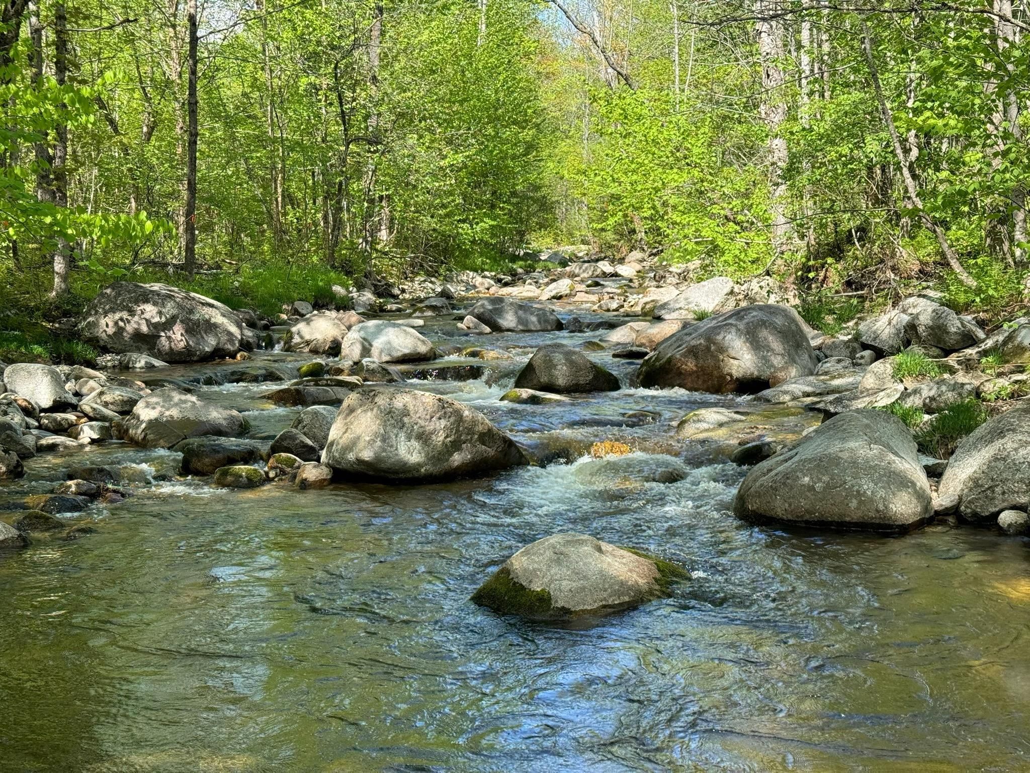 Garland Pond Road, Byron, ME 04275 Land and Farm