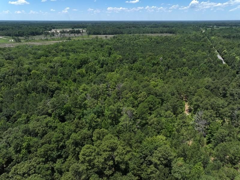 U.S. 501, Maxton, NC 28364 MLS 100451073 Land and Farm