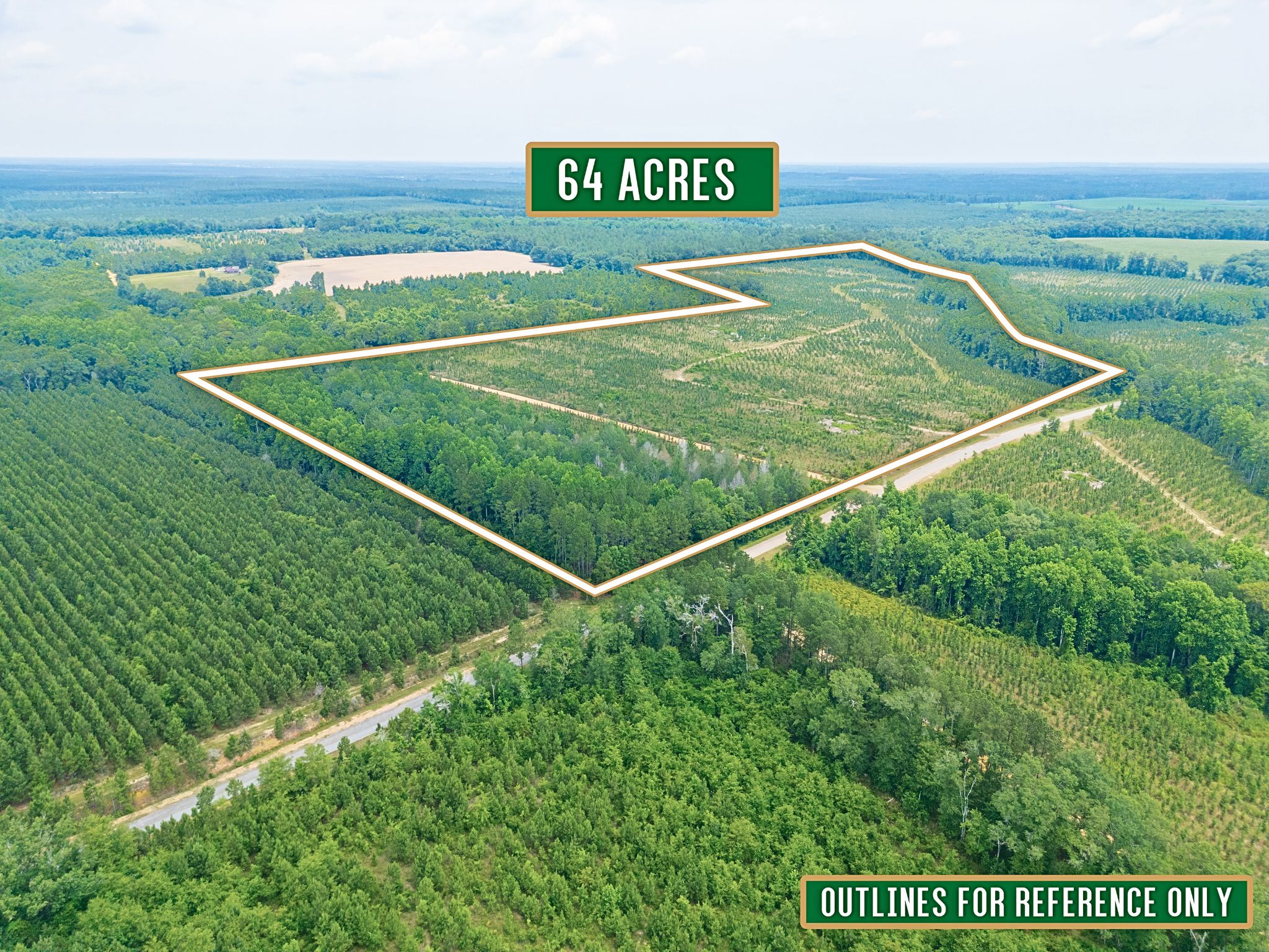 Powell School Road, Lumber City, GA 31549 MLS 10321666 Land and Farm