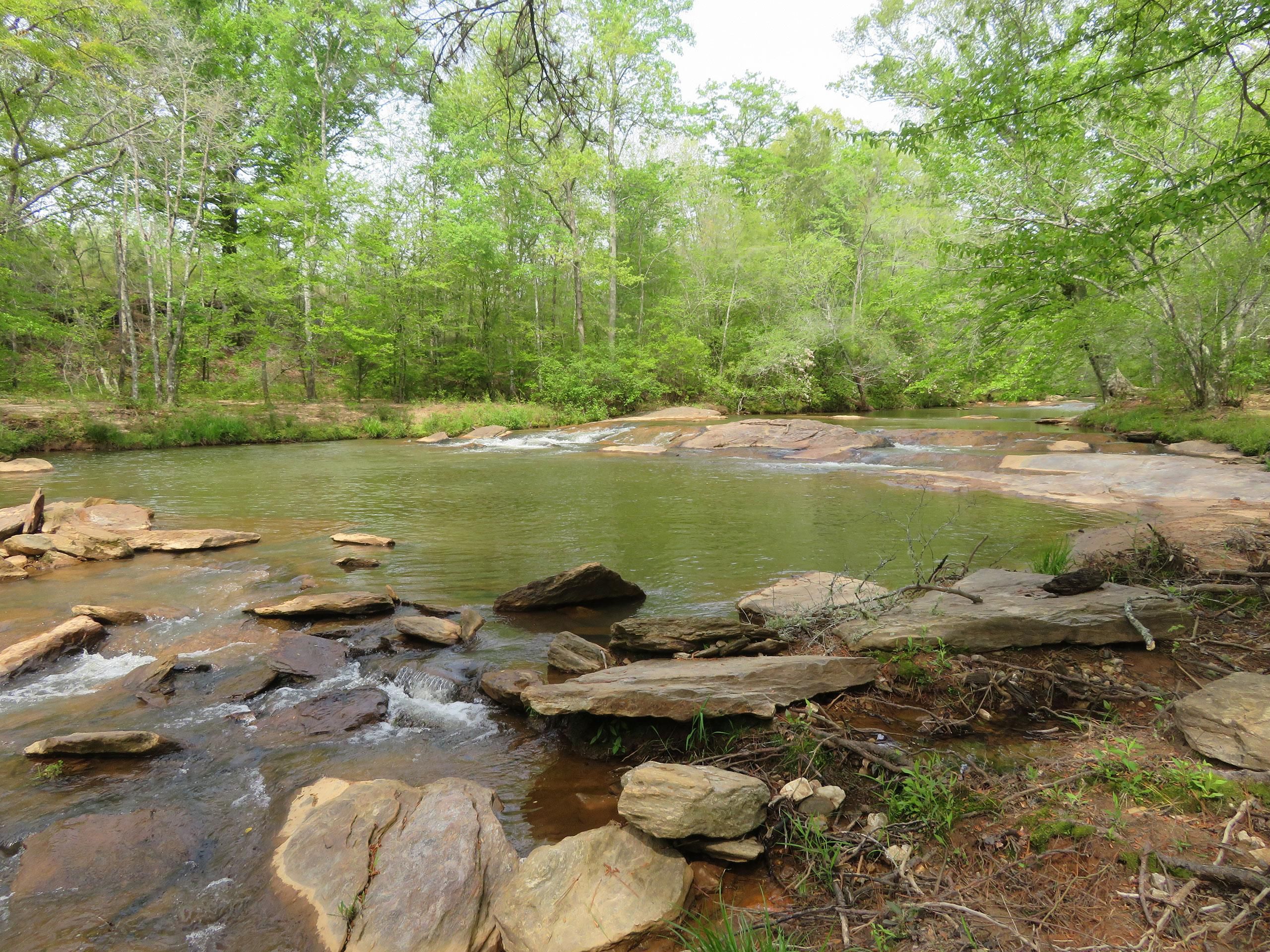 Fryer Road, Shiloh, GA 31826 Land and Farm