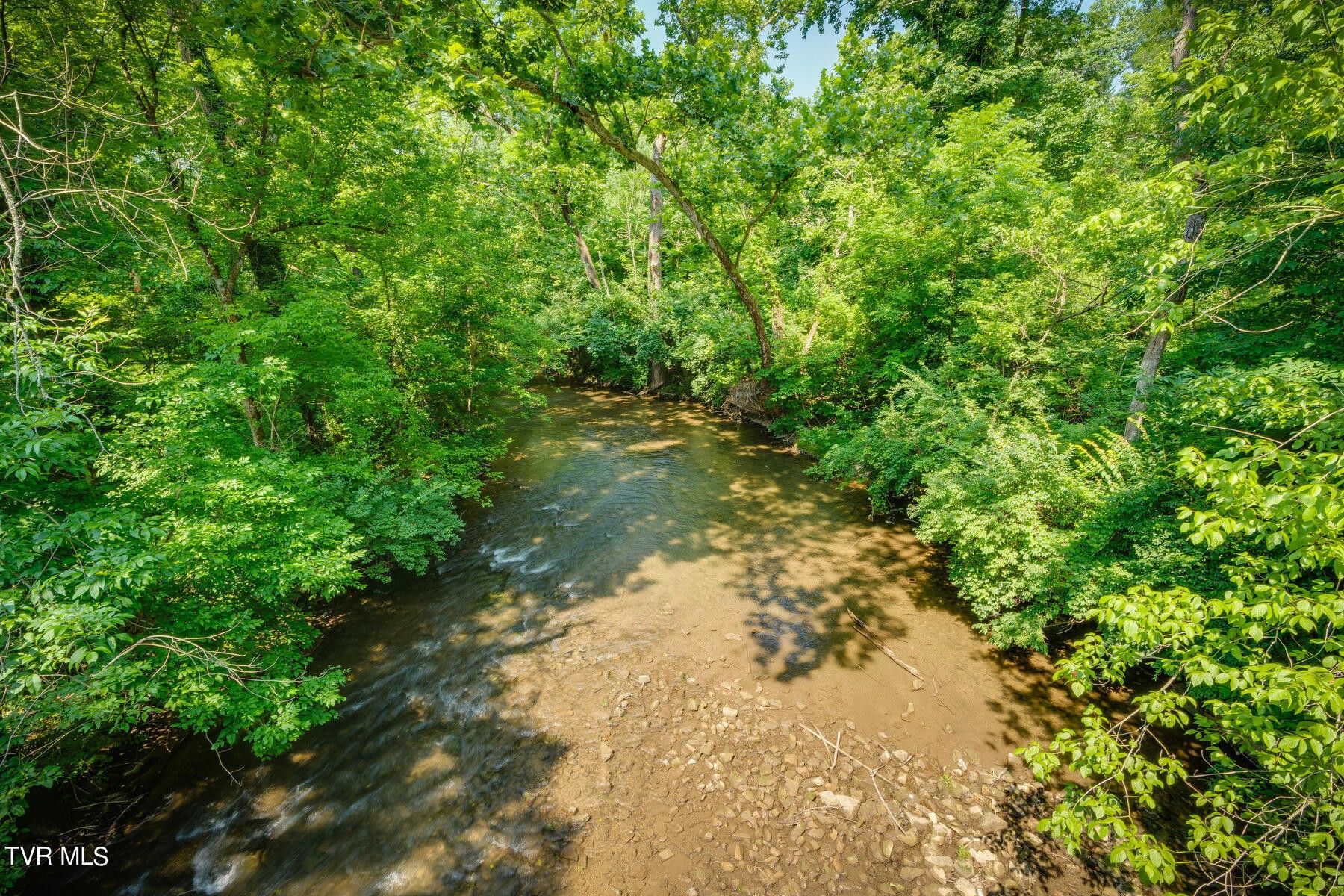 Tbd Maple Tree Drive, Bristol, TN 37620 MLS 9967449 Land and Farm