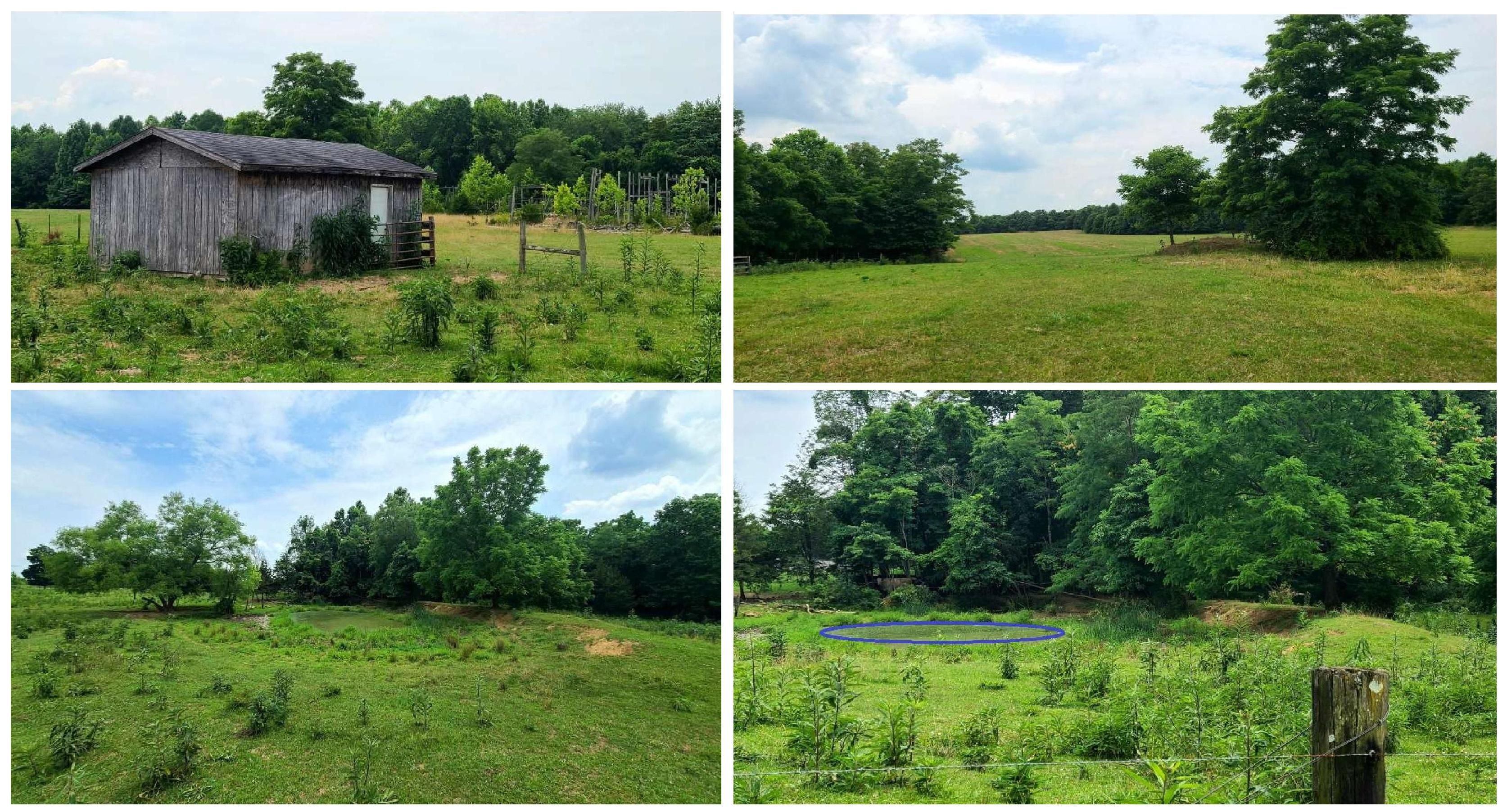St Engle Rd, Vanceburg, KY 41179 Land and Farm