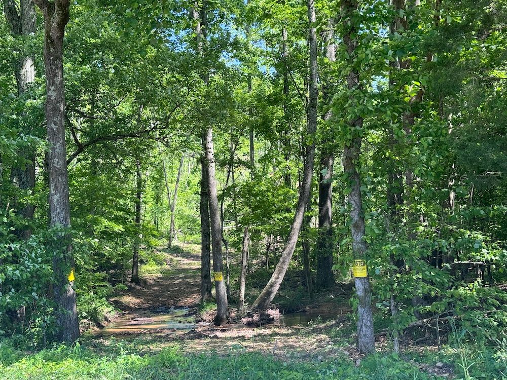 0 Second Creek Road, LotWP001, Lutts, TN 38471 Land and Farm