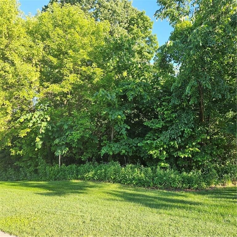 W901 Silver Fox Drive, Spring Valley, WI 54767 MLS 1583130 Land