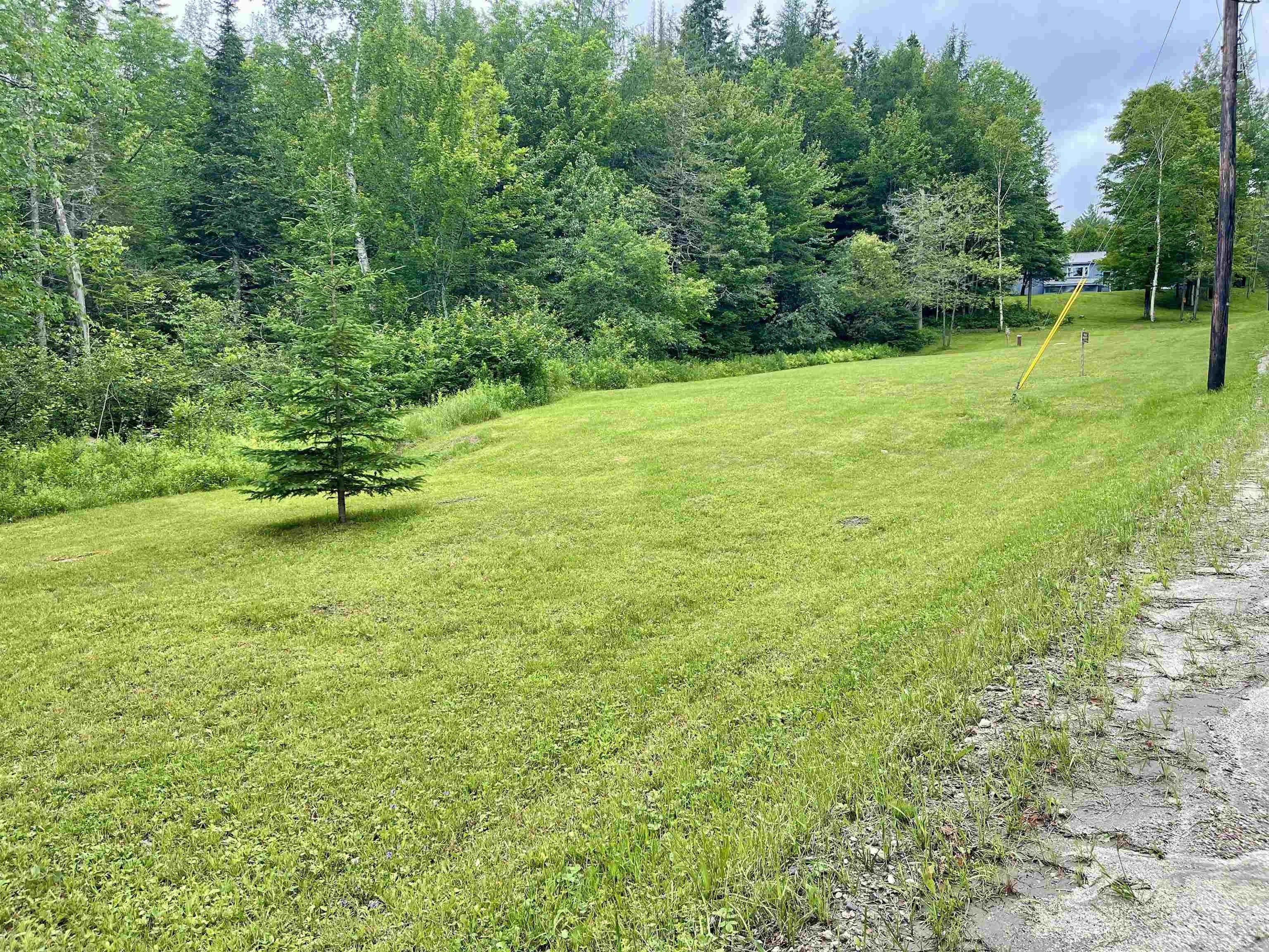 93 Westside Lane, Westmore, VT 05822 MLS 5002050 Land and Farm