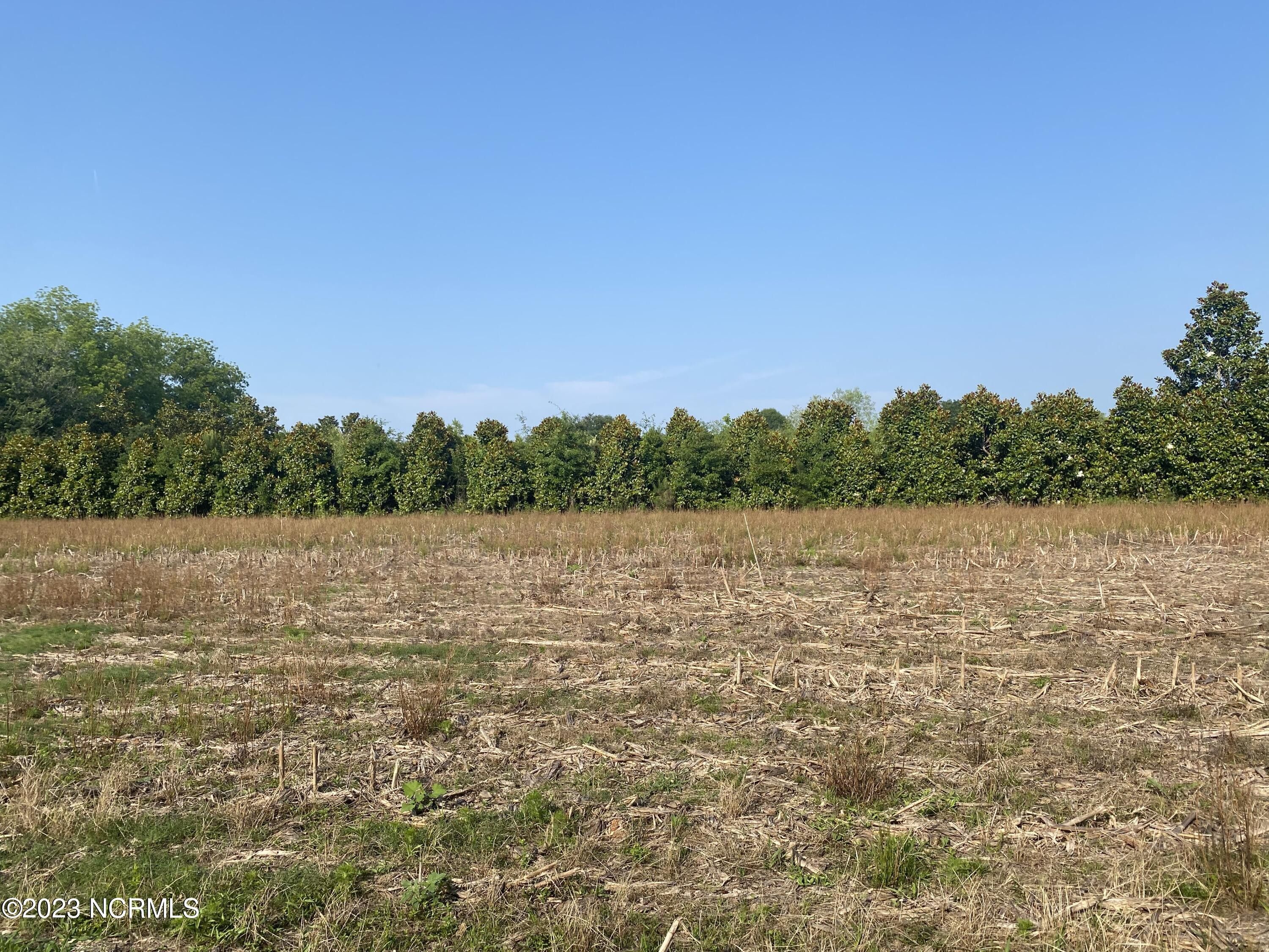 Near 8755 Andrew Jackson Highway SW, Cerro Gordo, NC 28430 MLS