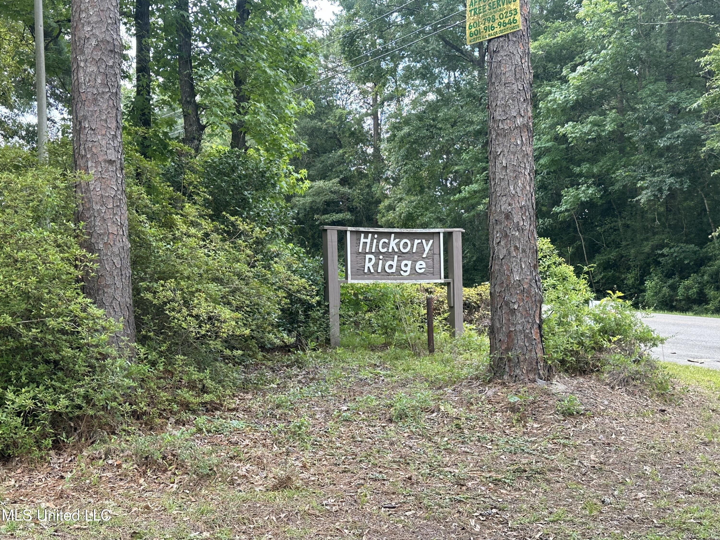 00 Hickory Ridge Subdivision Drive, Picayune, MS 39466 MLS 4082235
