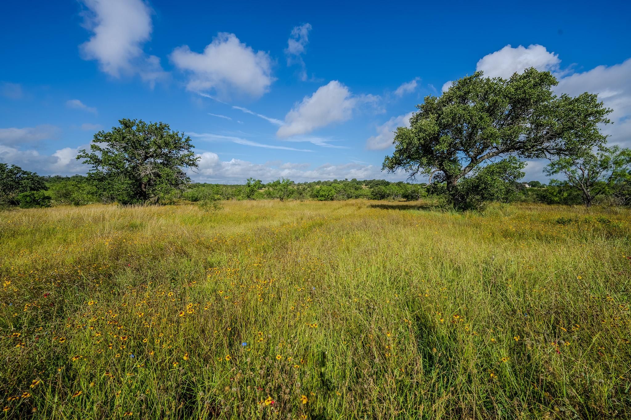 127 acres in Llano, TX, 78643 Land and Farm