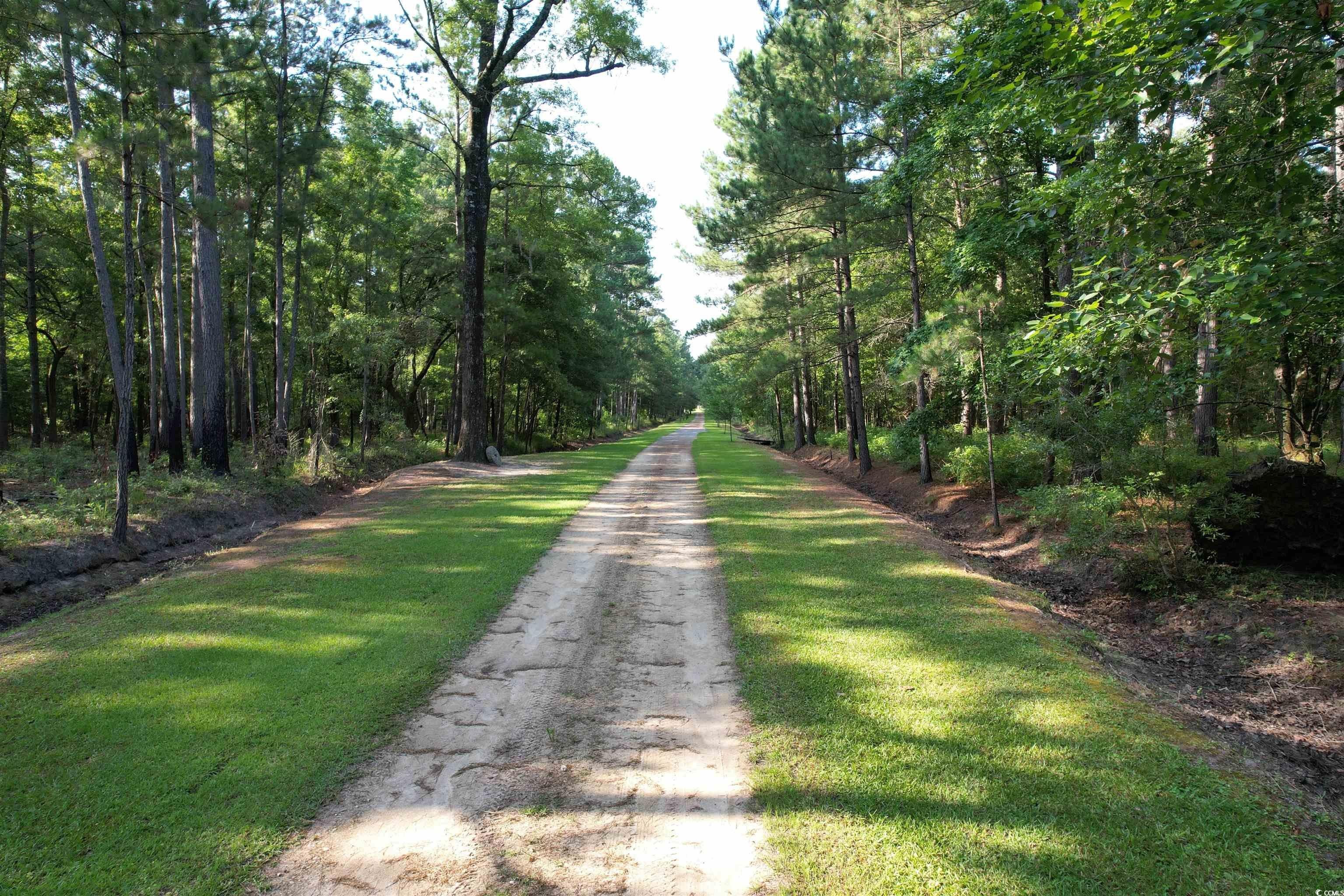 8920 Victor Lincoln Rd., Awendaw, SC 29429 MLS 2415373 Land and Farm