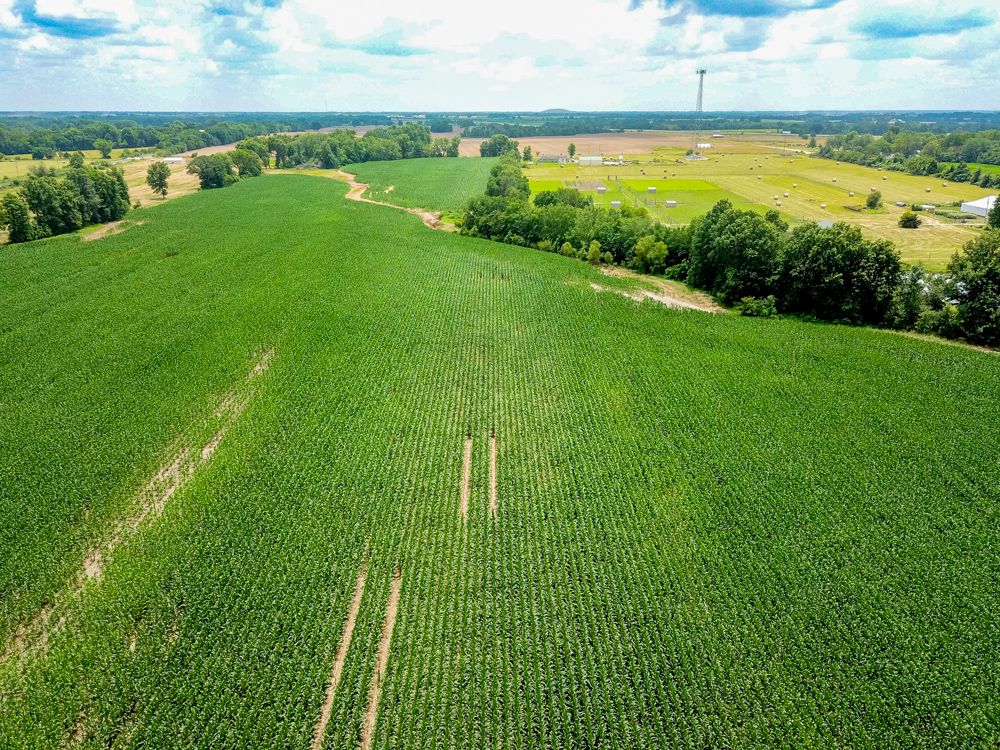 000 Zodiac Road, Sheldon, MO 64784 MLS Vernon 40 Land and Farm