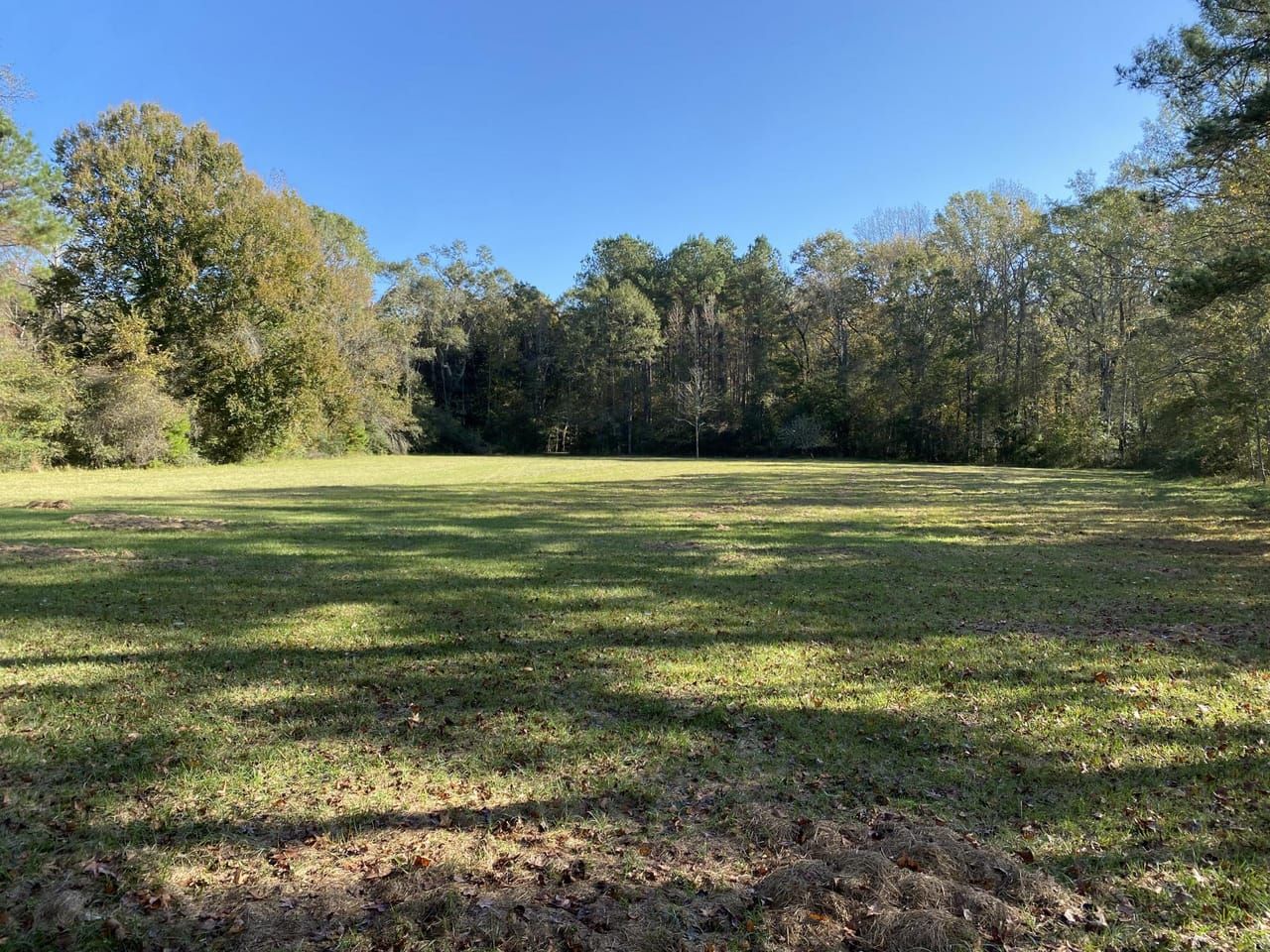 9431 L Williams Road, Clinton, LA 70722 MLS 137370 Land and Farm