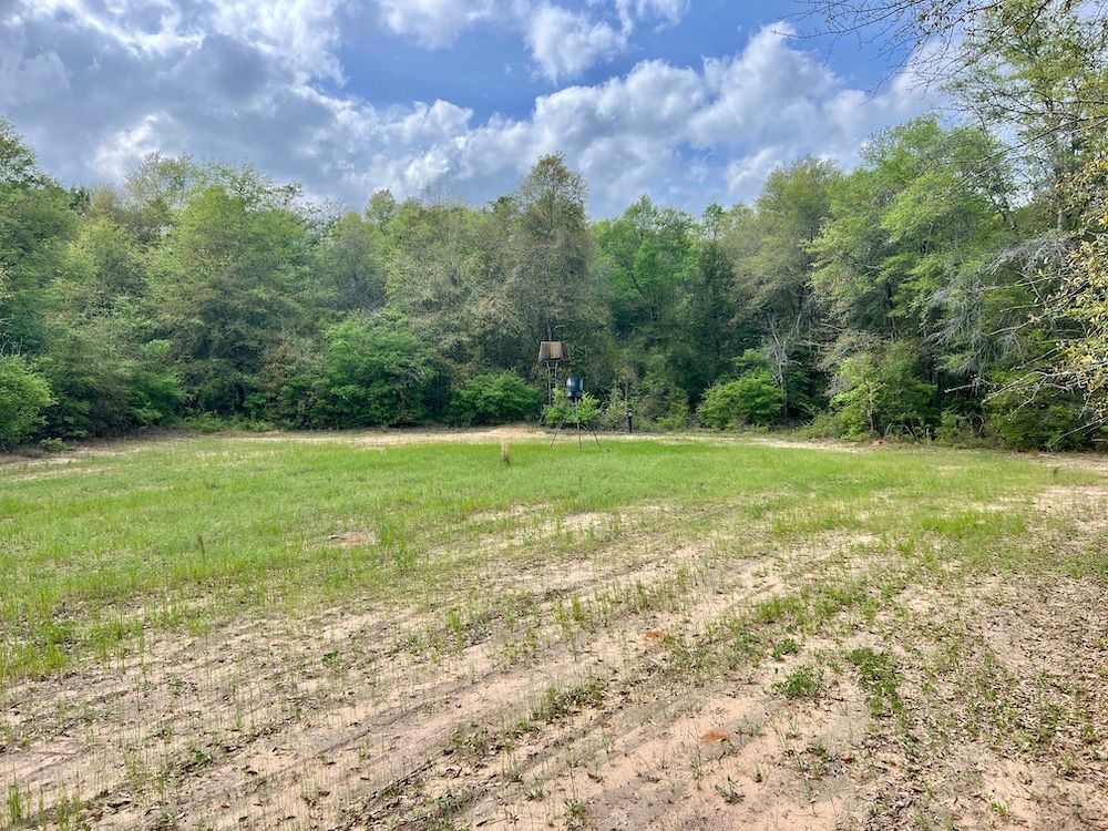 110 Head Road, LotWP001, Andersonville, GA 31711 Land and Farm