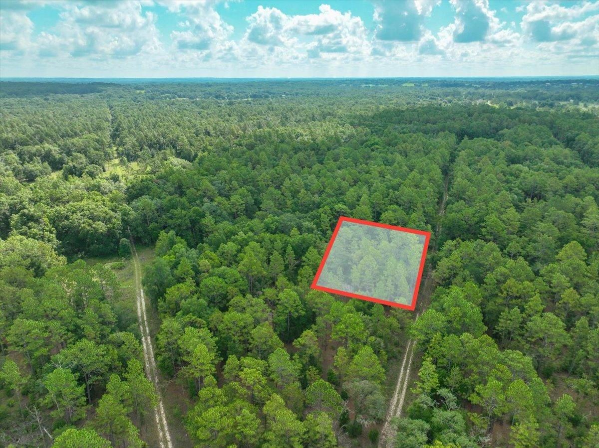 SW 25th Pl, Ocala, FL 34481 Land and Farm