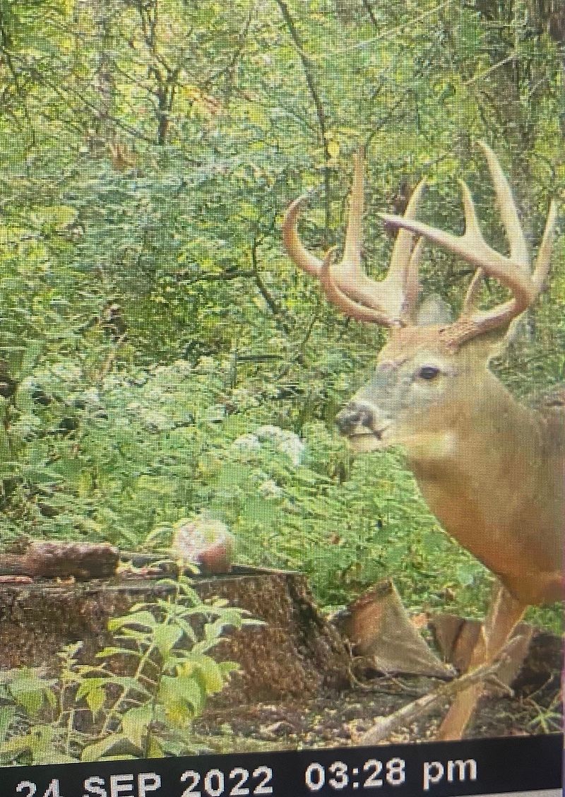 Whitehead Rd., Lagrange, OH 44050 MLS 5017603 Land and Farm