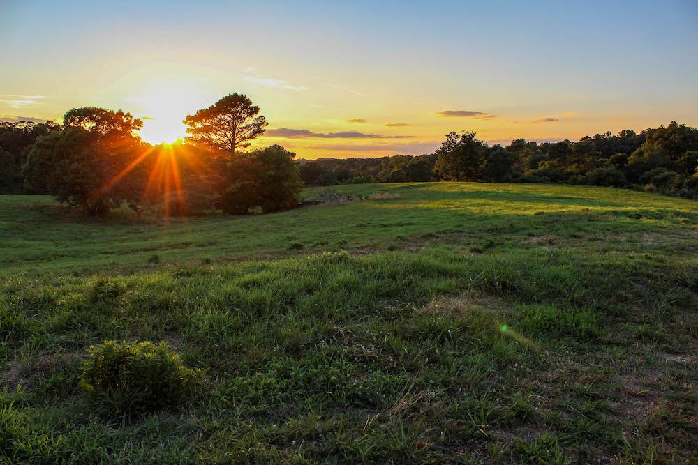 3597 Sardis-Airport Rd, Addison, AL 35540 | Land and Farm