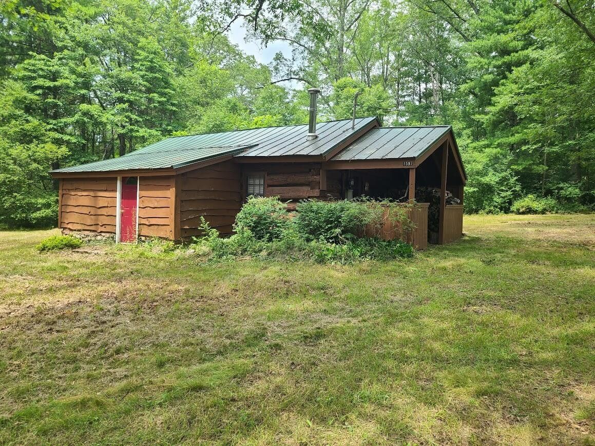 1597 W Woodland Park Drive, Bitely, MI 49309 MLS 24034222 Land and