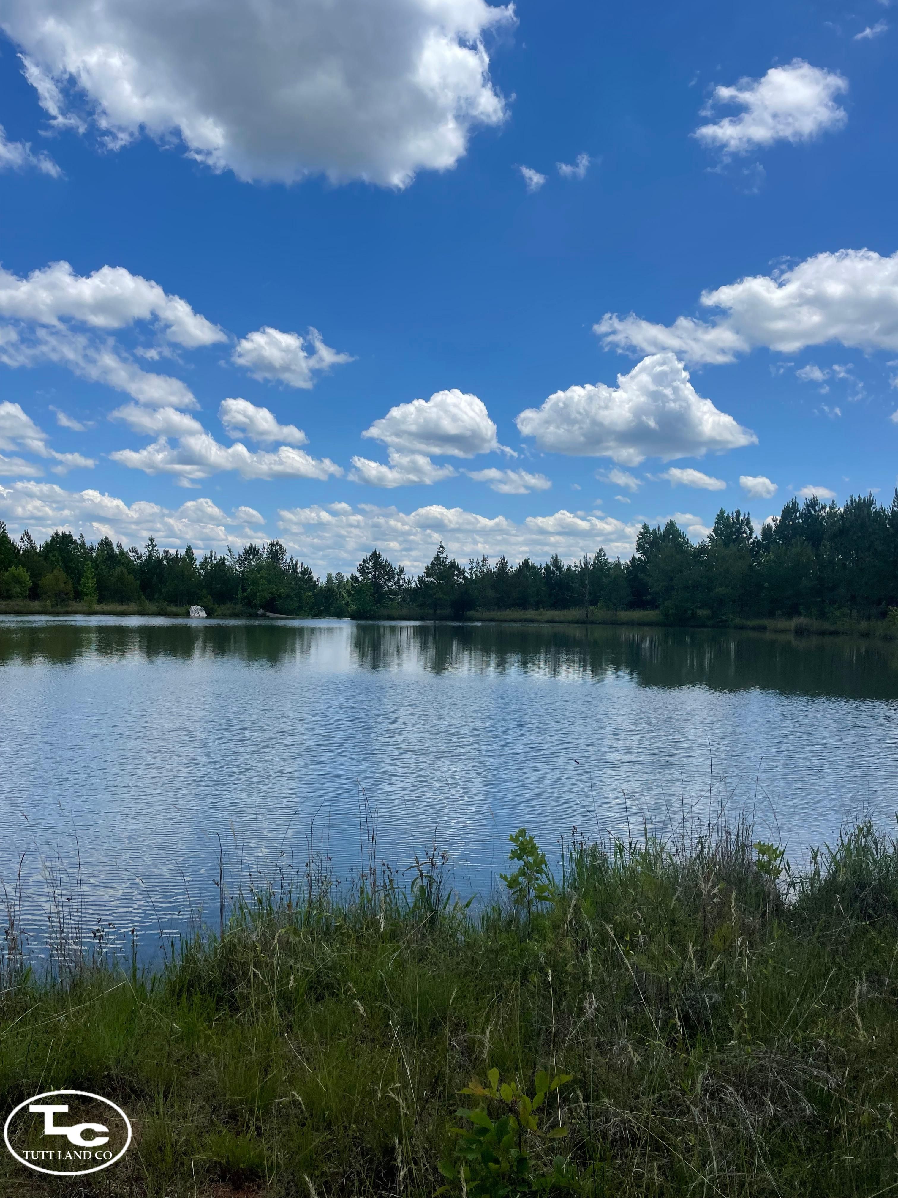 306 acres in Ashville, AL, 35953 Land and Farm