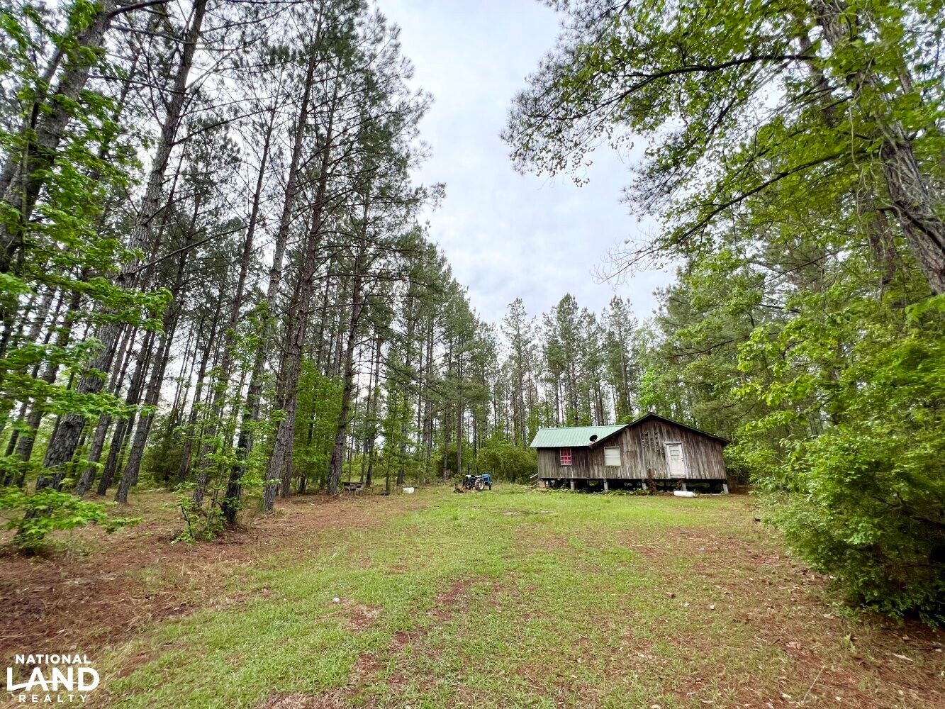 0 Highway 17, Chatom, AL 36518 Land and Farm