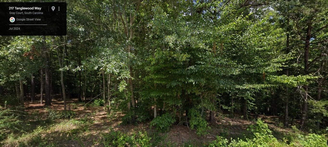 217 Tanglewood Way, Gray Court, SC 29645 MLS 315569 Land and Farm