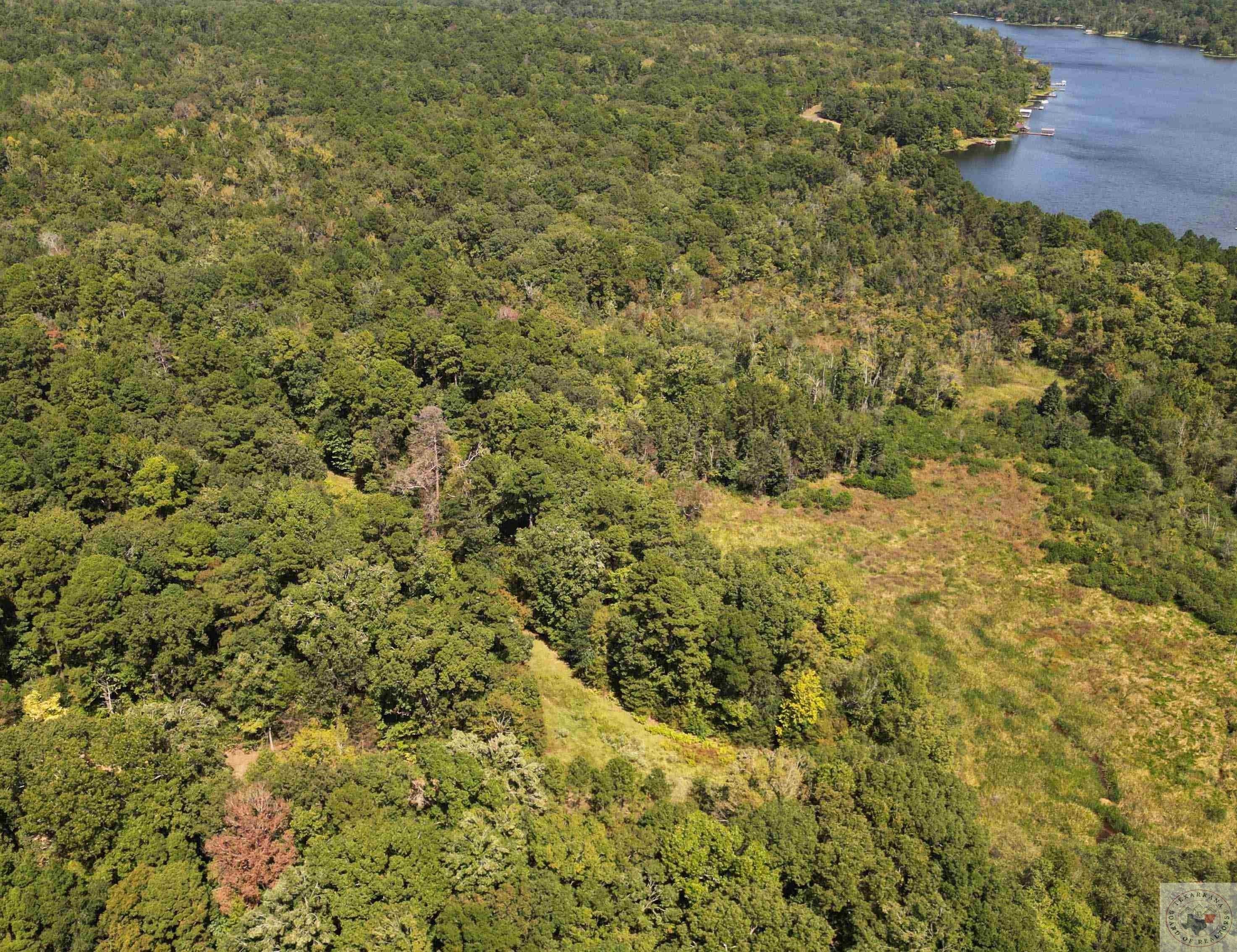 TBD CR 1511, Avinger, TX 75630 MLS 116020 Land and Farm