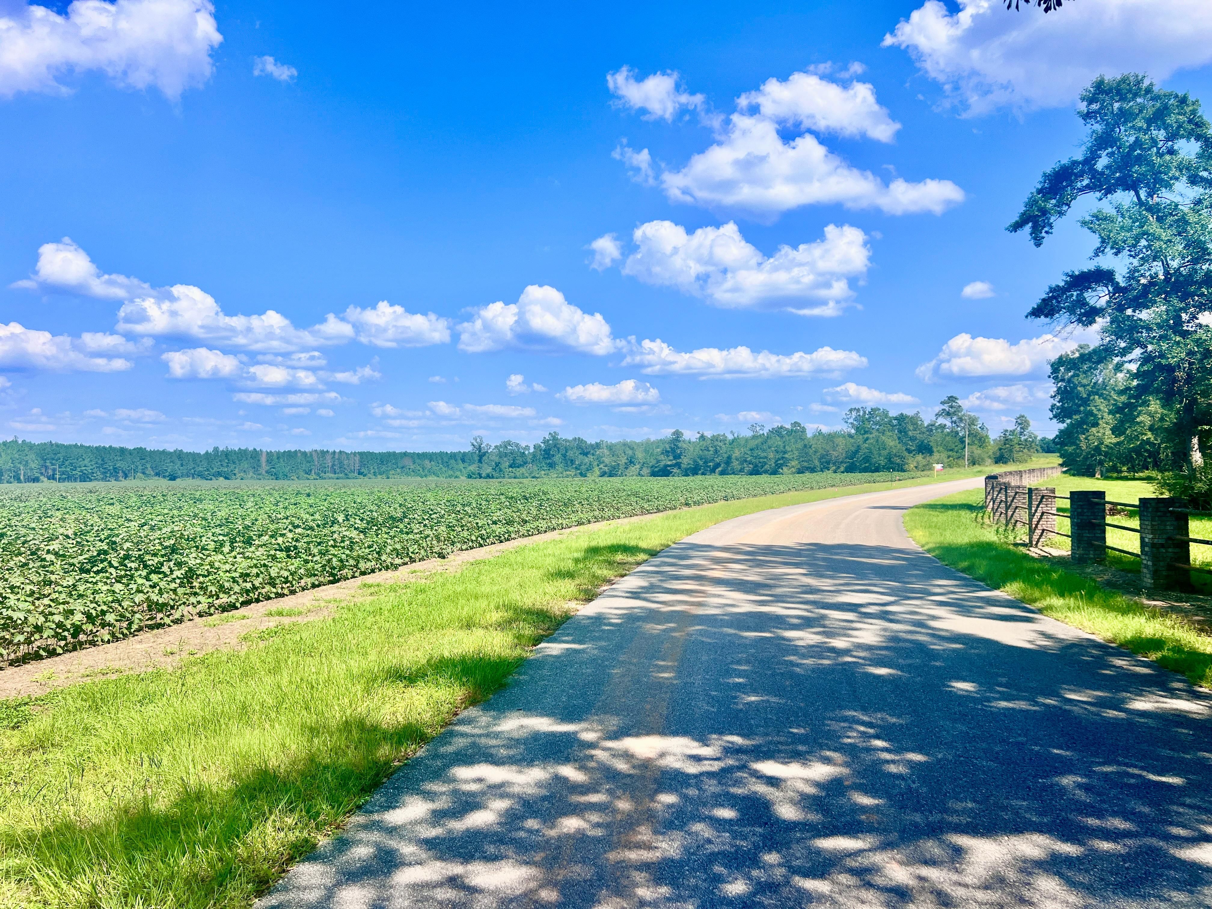 Lot 7 Sid Hayes Road, Jay, FL 32565 MLS 652286 Land and Farm