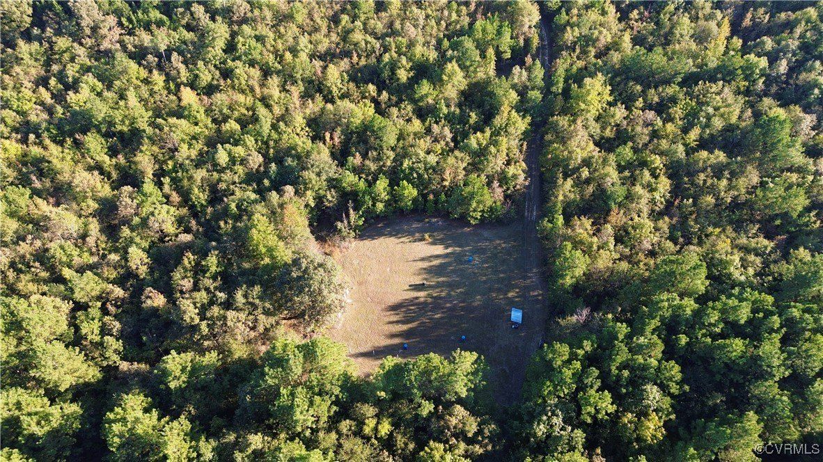 0 Reese Road, Dinwiddie, VA 23841 MLS 2426973 Land and Farm