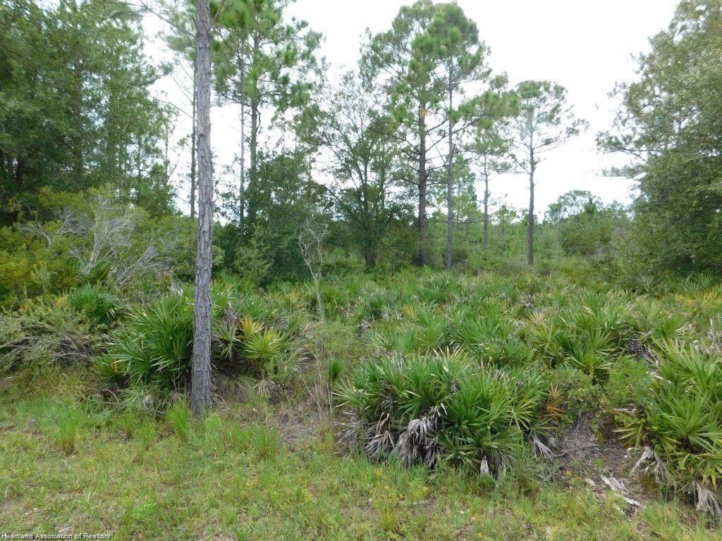 2401 N C Hill Road, Avon Park, FL 33825 MLS 308074 Land and Farm