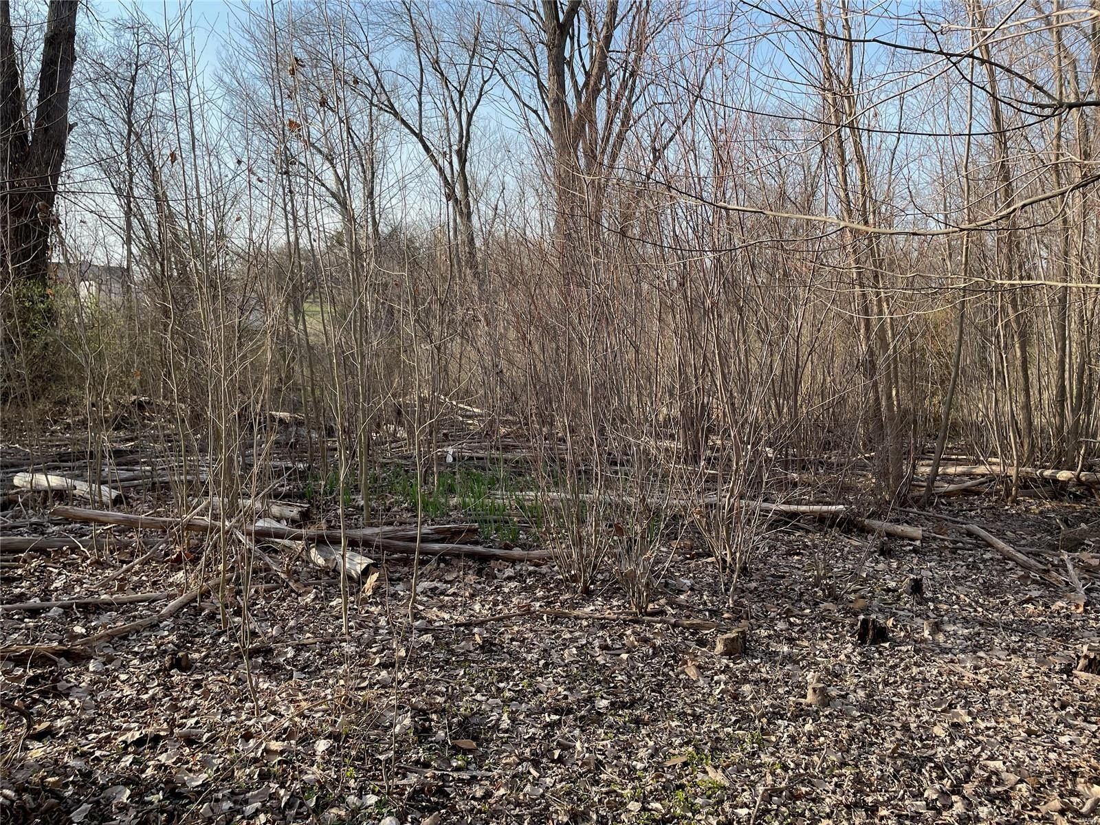 1683 State Road M, Barnhart, MO 63012 MLS 24014672 Land and Farm