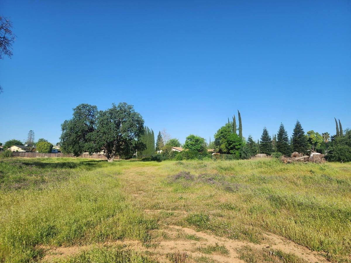 245 Walton Avenue, Red Bluff, CA 96080 MLS: 25-2115 Land and Farm