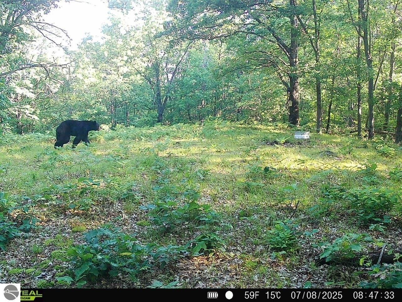 V/L N Hawkins Road, Luther, MI 49656 | MLS: 1937846 | Land and Farm