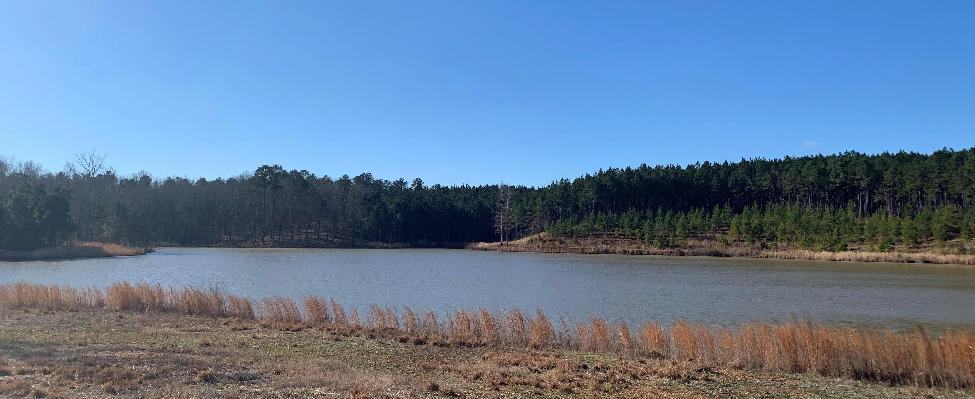 Greene County, GA Land for Sale 308 Listings Land And Farm